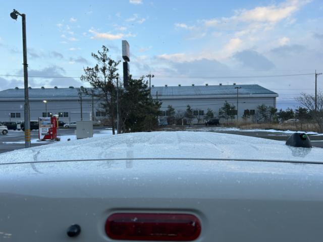 ハスラー（新潟県新潟市西蒲区）