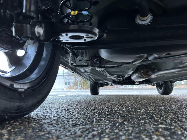 ハスラー（新潟県新潟市西蒲区）