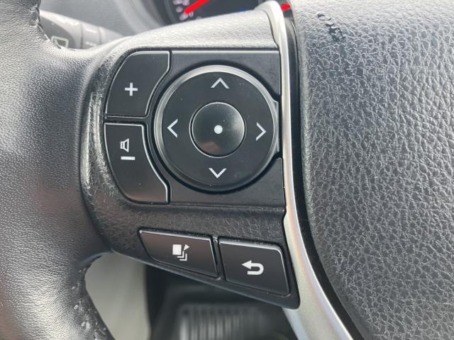 ノア（新潟県長岡市）