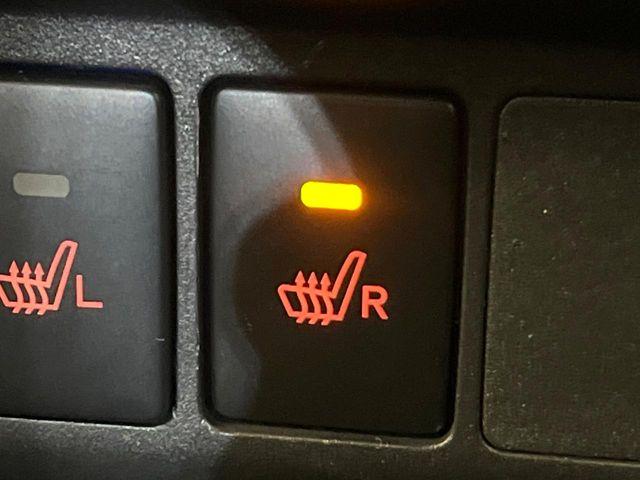 ルーミー（新潟県新潟市東区）