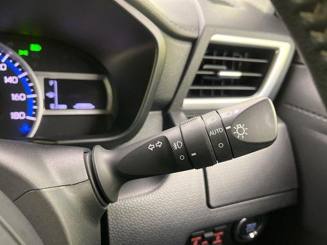 ルーミー（新潟県新潟市東区）