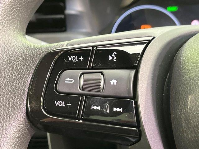 ヴェゼル（新潟県新潟市南区）