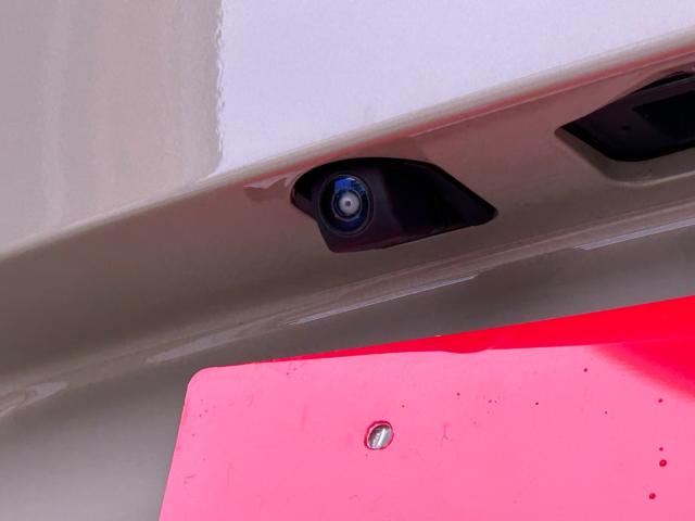 ヴェゼル(新潟県新潟市江南区)