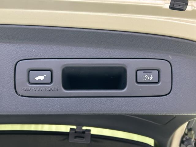 ヴェゼル(新潟県新潟市江南区)