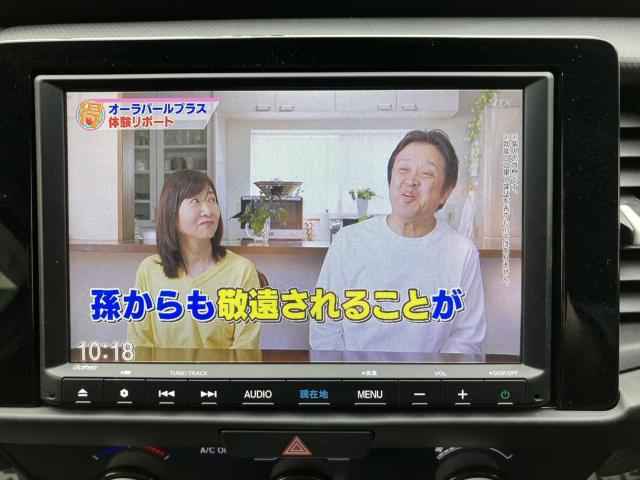 フィット(新潟県新潟市西蒲区)