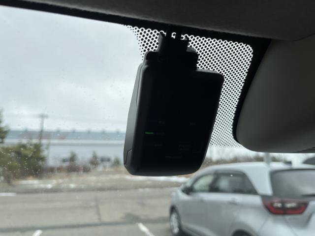 N-WGN(新潟県新潟市西蒲区)