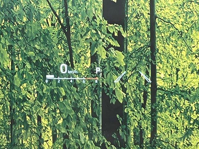 カローラスポーツ（新潟県新潟市南区）