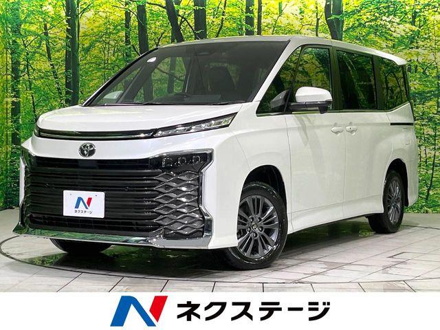 ヴォクシー（新潟県長岡市）