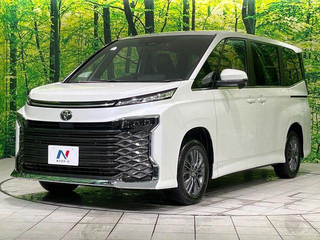 ヴォクシー（新潟県長岡市）