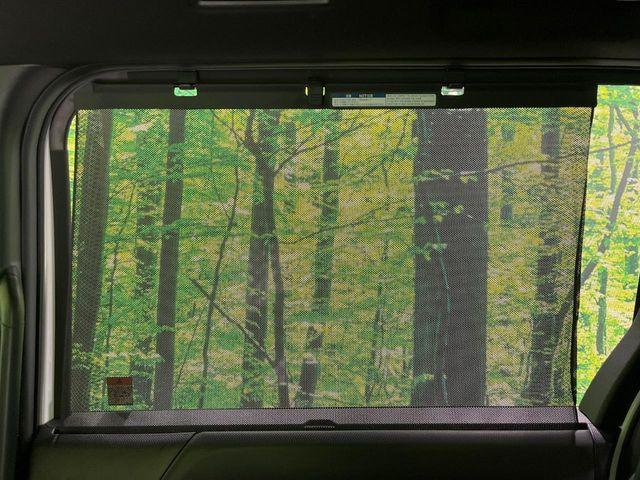 ヴォクシー（新潟県長岡市）