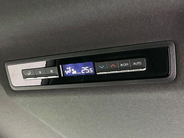 ヴォクシー（新潟県長岡市）