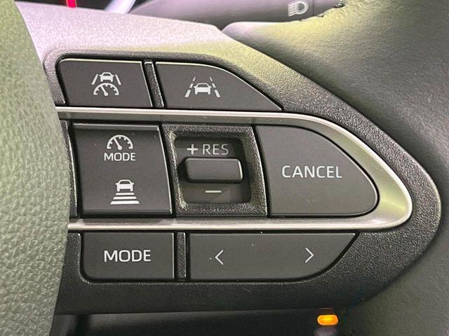 ヴォクシー（新潟県長岡市）