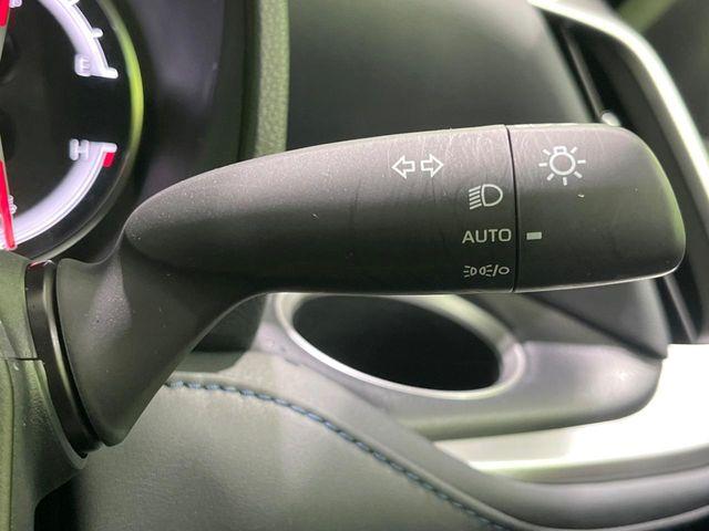 ヴォクシー（新潟県長岡市）