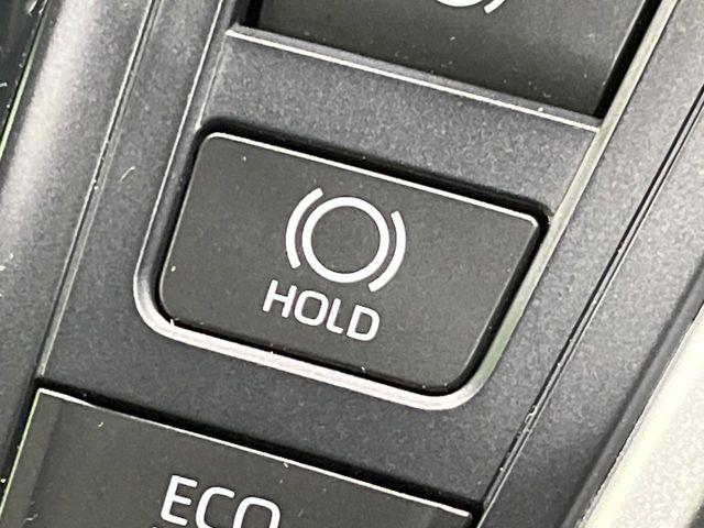 ヴォクシー（新潟県長岡市）