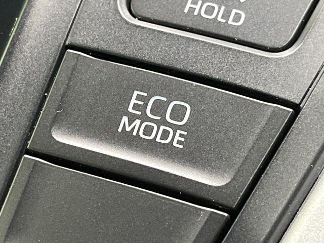 ヴォクシー（新潟県長岡市）