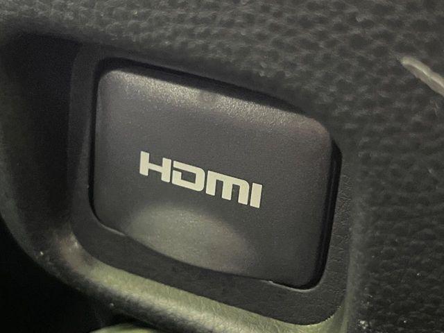 ヴォクシー（新潟県長岡市）