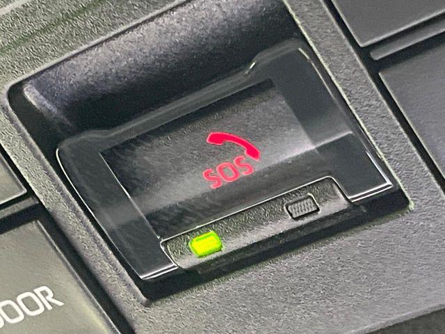 ヴォクシー（新潟県長岡市）