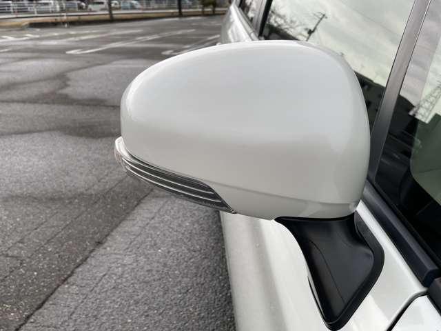 プリウス（新潟県新潟市南区）