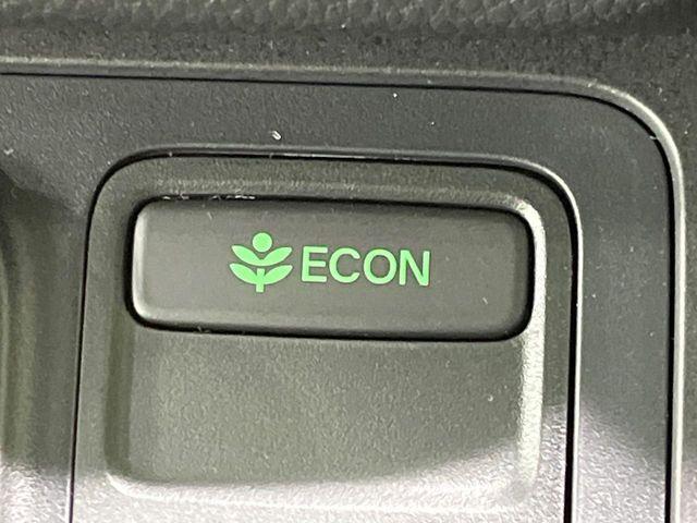 ステップワゴン（新潟県長岡市）