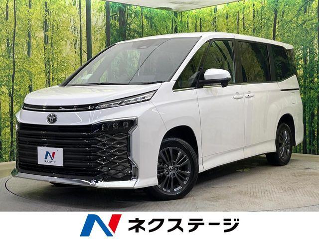 ヴォクシー（新潟県新潟市南区）