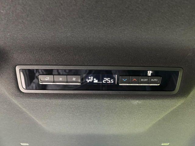 ヴォクシー（新潟県新潟市南区）