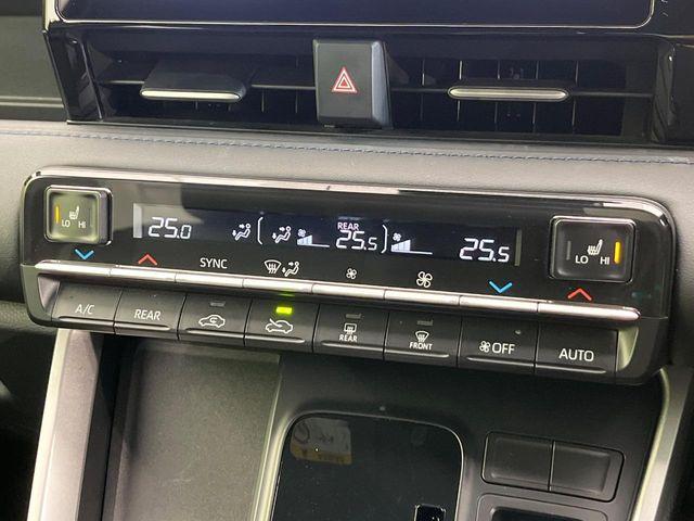 ヴォクシー（新潟県新潟市南区）