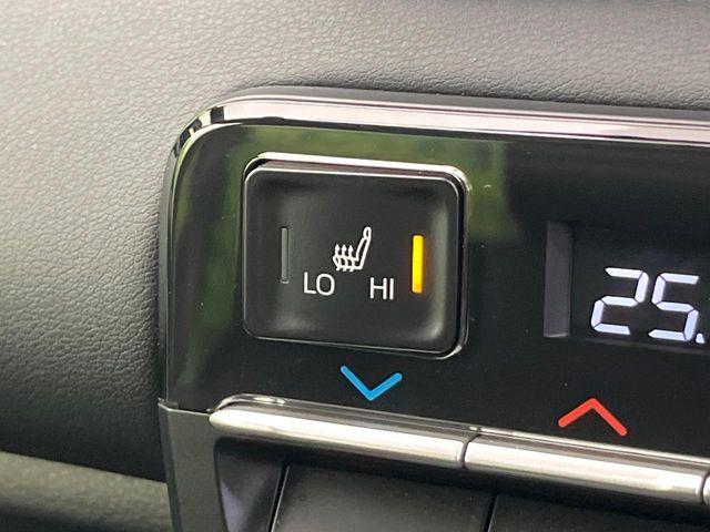 ヴォクシー（新潟県新潟市東区）