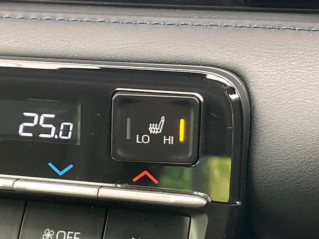 ヴォクシー（新潟県新潟市東区）