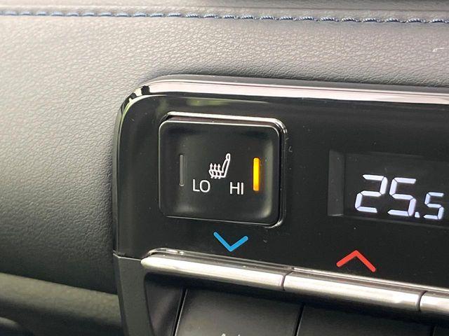 ヴォクシー（新潟県新潟市東区）