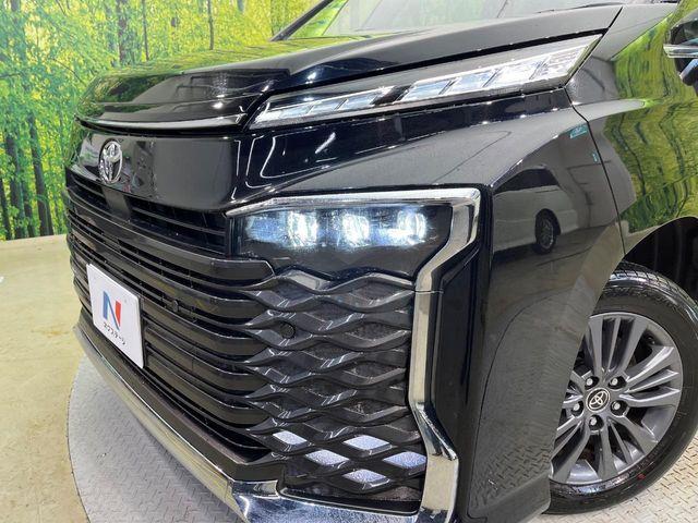 ヴォクシー(新潟県新潟市南区)