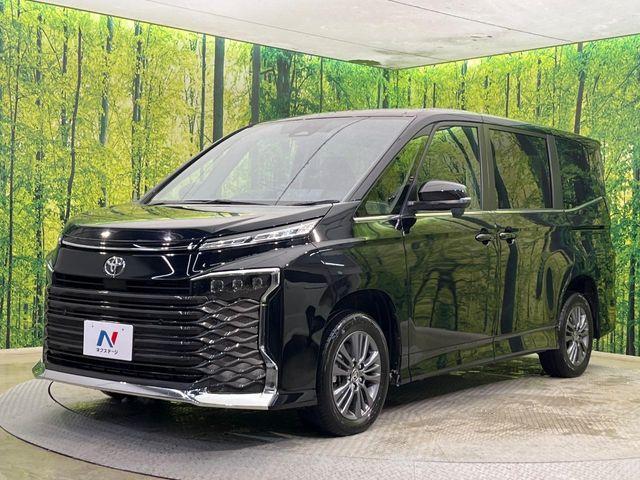 ヴォクシー(新潟県新潟市南区)