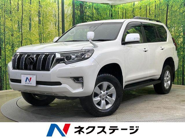 ランドクルーザープラド（新潟県新潟市南区）