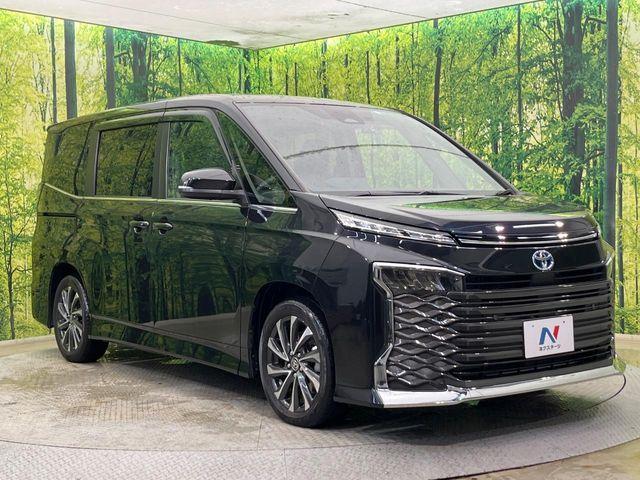 ヴォクシー（新潟県新潟市南区）