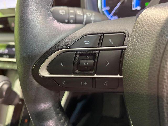 ヴォクシー（新潟県新潟市南区）