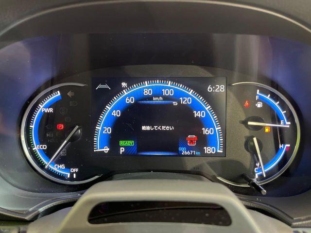 ヴォクシー（新潟県新潟市南区）