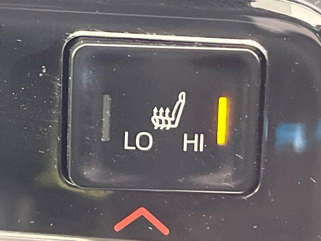 ヴォクシー（新潟県新潟市南区）