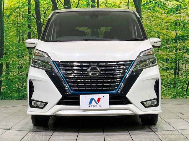 セレナ（新潟県長岡市）