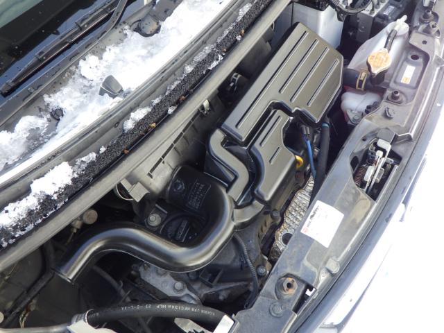 ムーヴ（新潟県新潟市中央区）