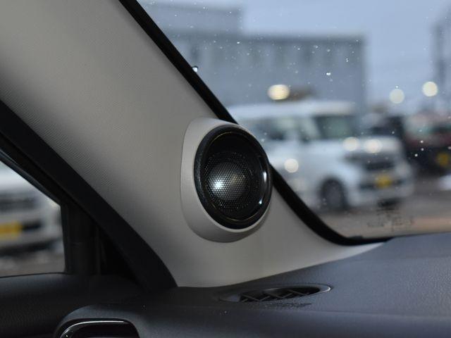 ヴェゼル（新潟県上越市）