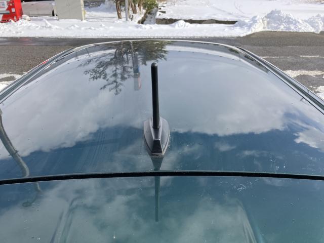 キャスト（新潟県新潟市西蒲区）