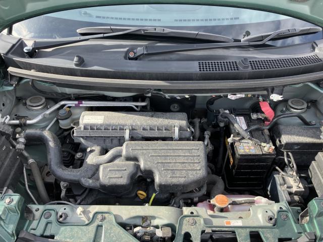 キャスト（新潟県新潟市西蒲区）