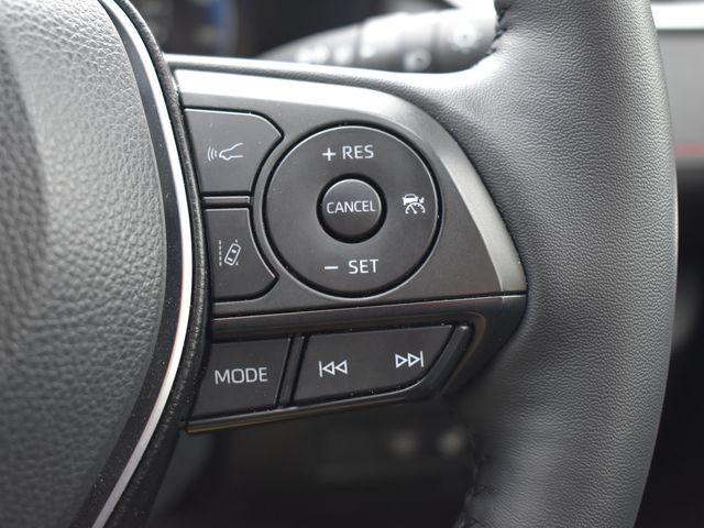 ＲＡＶ４（新潟県上越市）