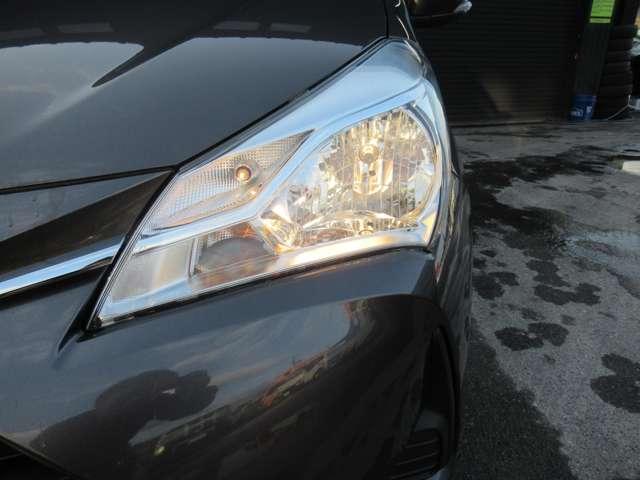 ヴィッツ（新潟県新潟市江南区）画像11