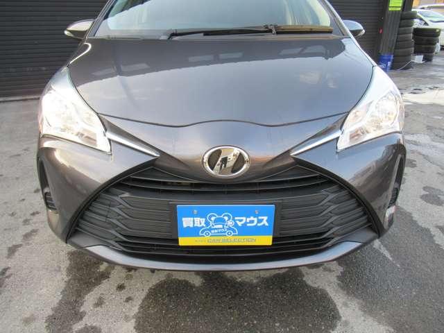 ヴィッツ（新潟県新潟市江南区）画像9