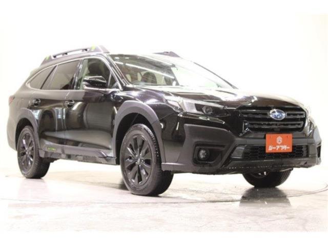 アウトバック(新潟県新潟市東区)