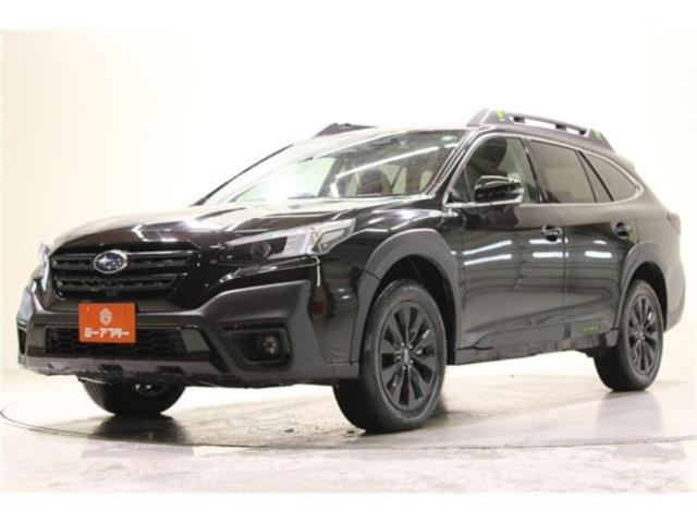 アウトバック(新潟県新潟市東区)