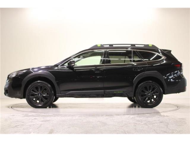 アウトバック(新潟県新潟市東区)