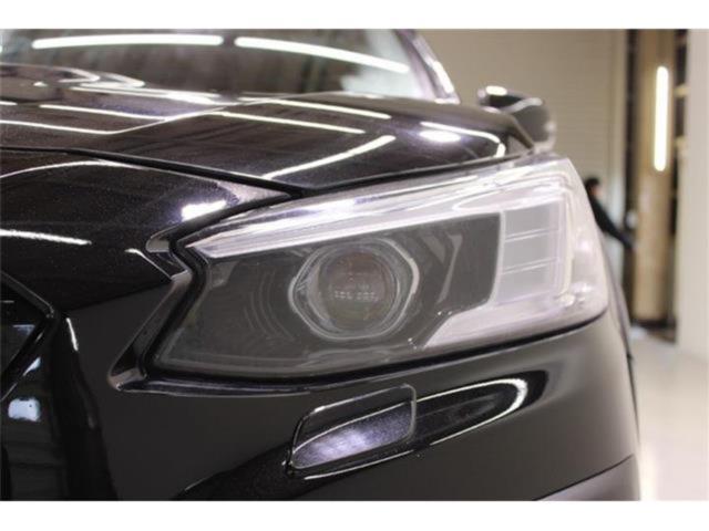 アウトバック(新潟県新潟市東区)