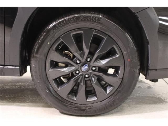 アウトバック(新潟県新潟市東区)