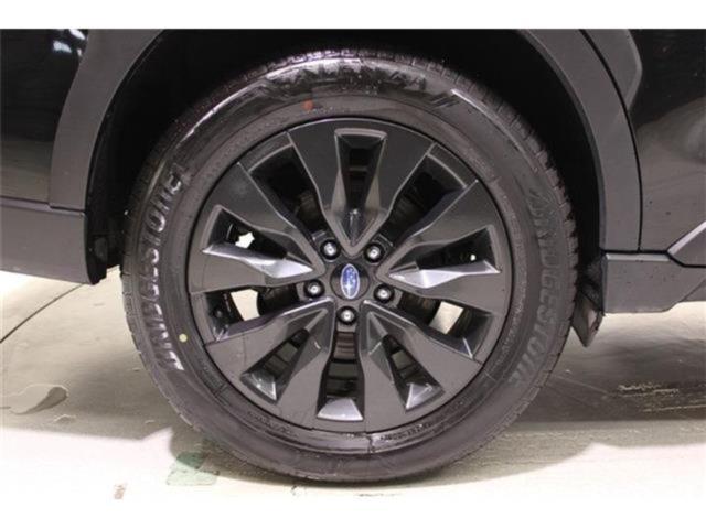 アウトバック(新潟県新潟市東区)